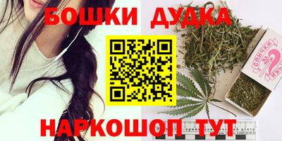 индика Пушкино