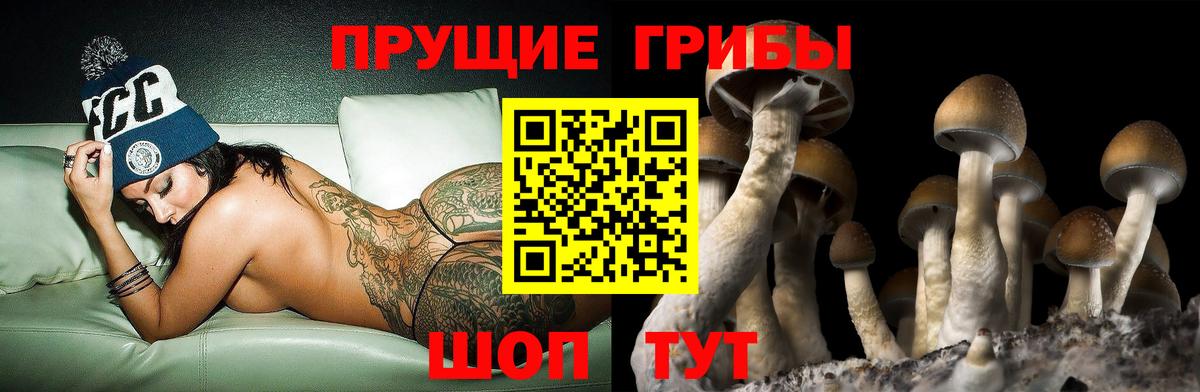 Обь  Галлюциногенные грибы мухоморы  Галлюциногенные грибы Cubensis  Вход с VPN 