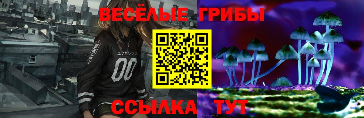 Псилоцибиновые грибы Psilocybe Обь